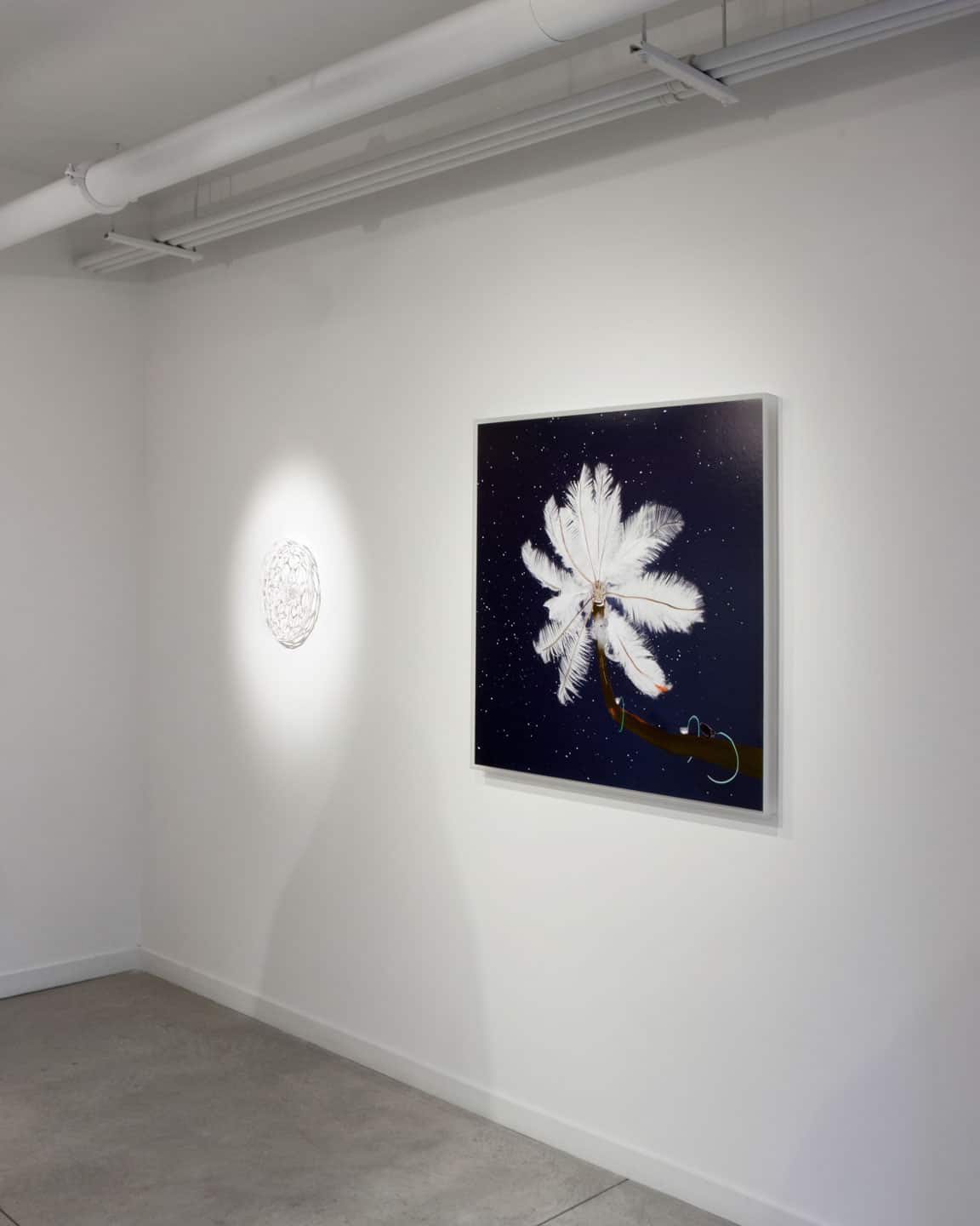  Alex Fischer, LEFT: Nervous System Preserver, 2013. RIGHT: Feather Feeder, 2013 install at Dry Pixels and Wet Molecules, O'Born Contemporary